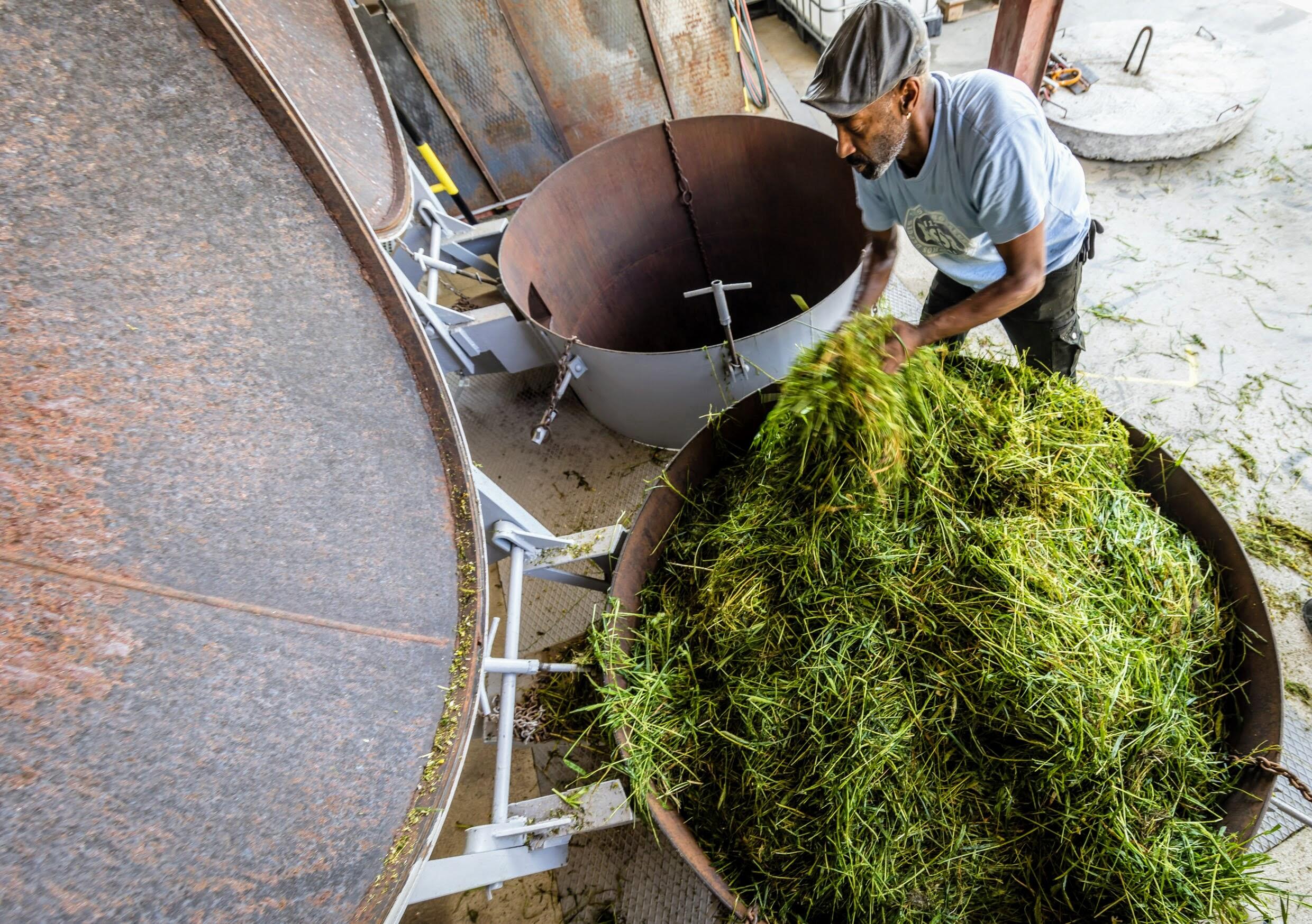 PRÁTICAS AGRÍCOLAS ECO-RESPONSÁVEIS